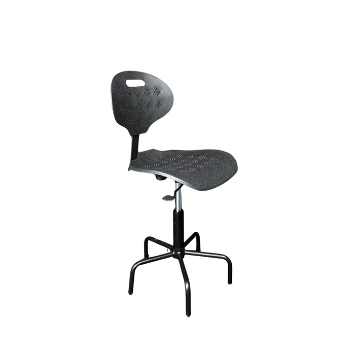 Sedia Diana Professional