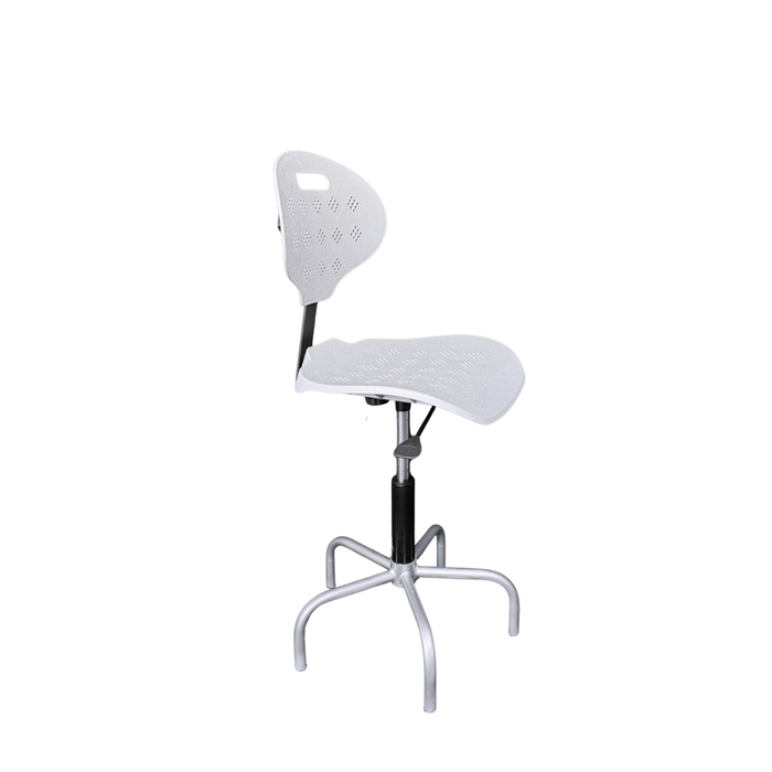 Sedia Diana Professional